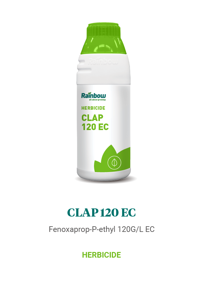Clap 120 EC Rainbow