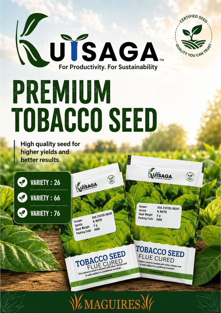 Kutsaga Tobacco Seed