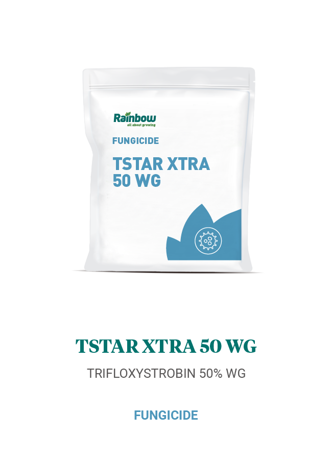Tstar Xtra 50 WG Rainbow