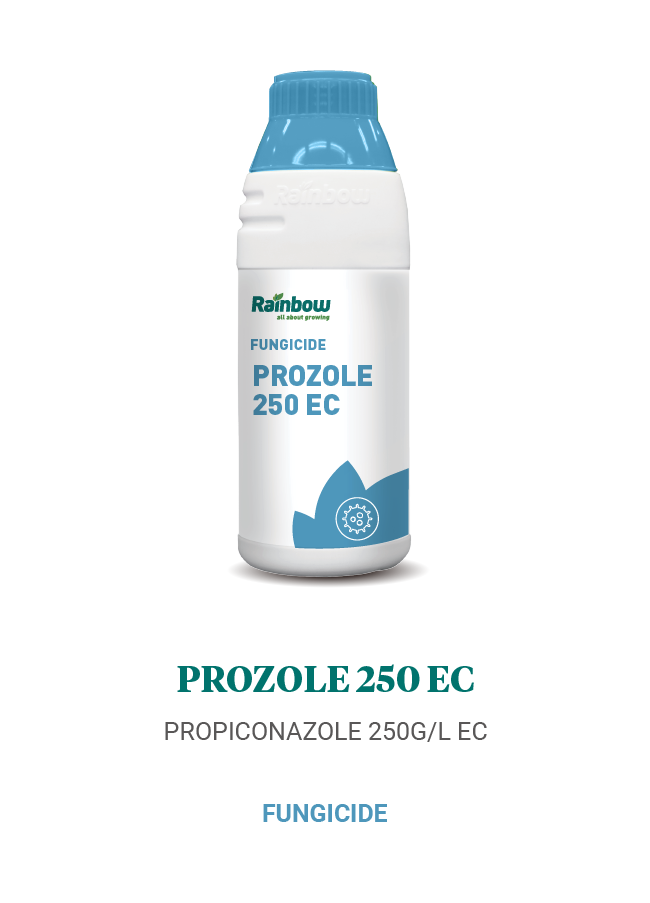 Prozole 250 EC Rainbow