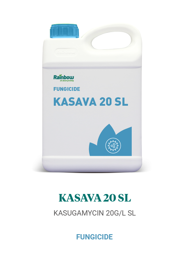 Kasava 20 SL Rainbow