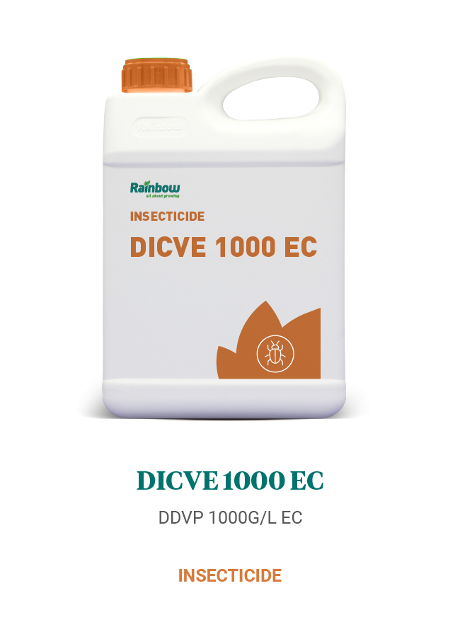 Dicve 1000 EC Rainbow