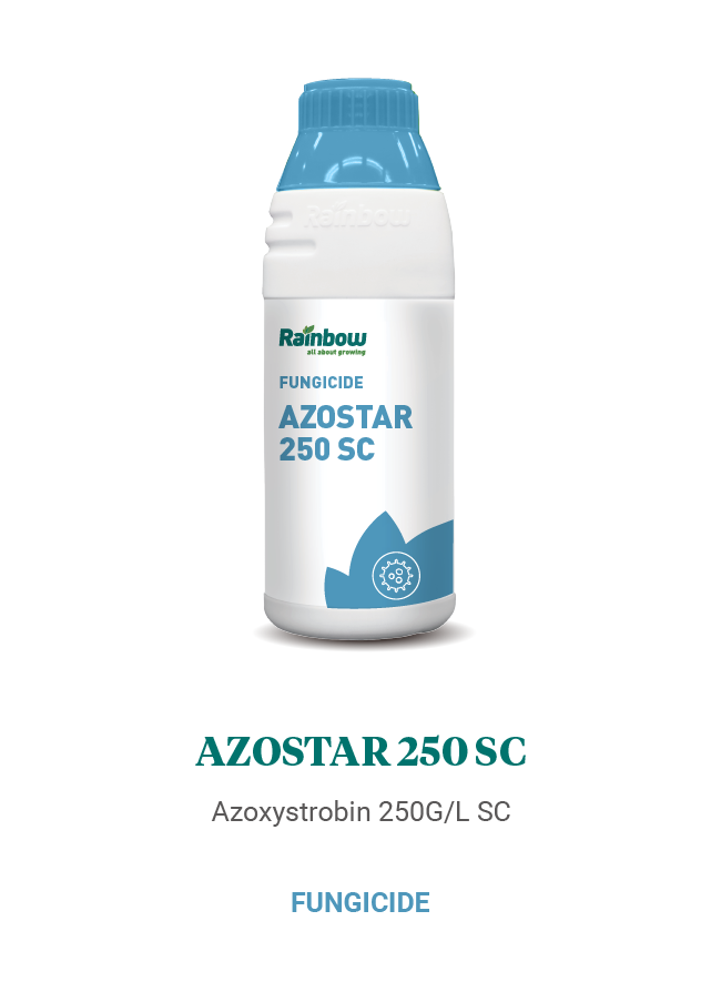 Azostar 250 SC Rainbow