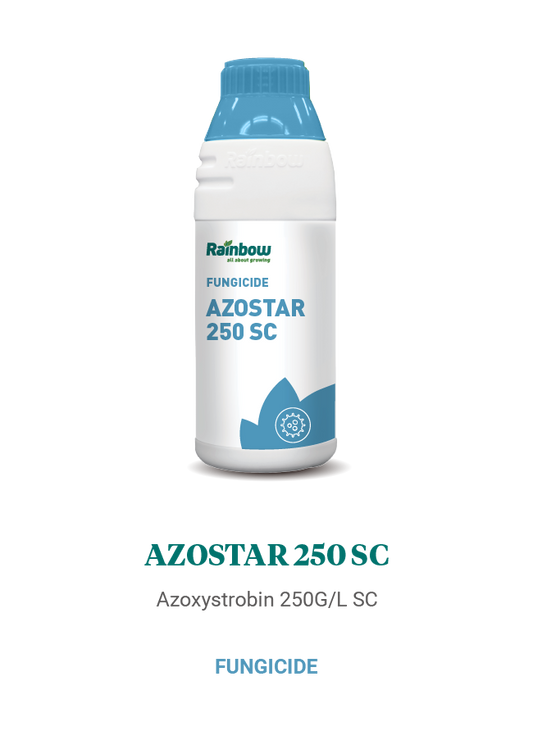 Azostar 250 SC Rainbow