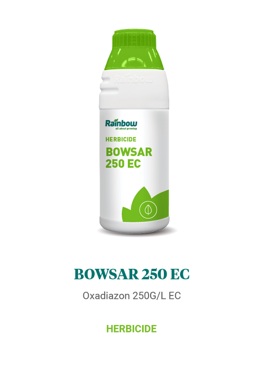 Bowsar 250 EC Rainbow