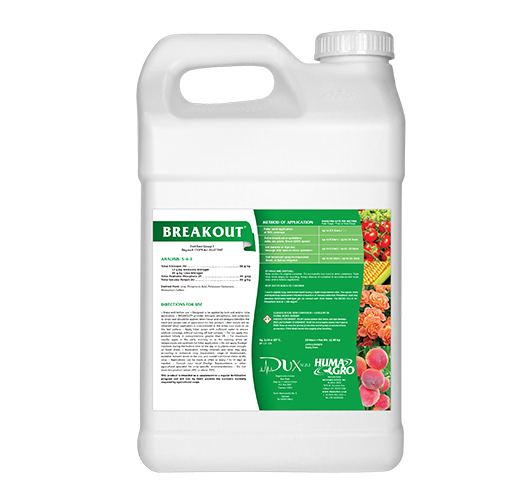 Breakout Dux Agri