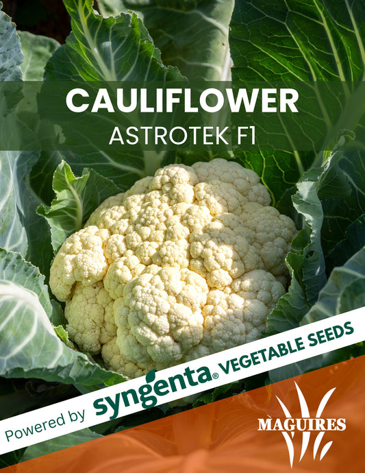 Cauliflower Astrotek F1