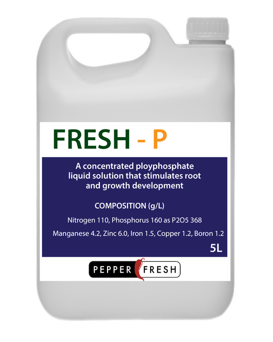 Fresh P