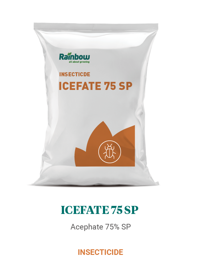 Icefate 75 SP Rainbow