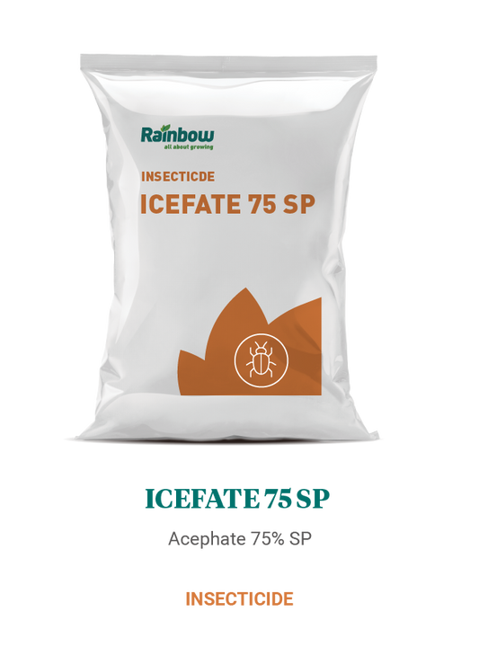 Icefate 75 SP Rainbow