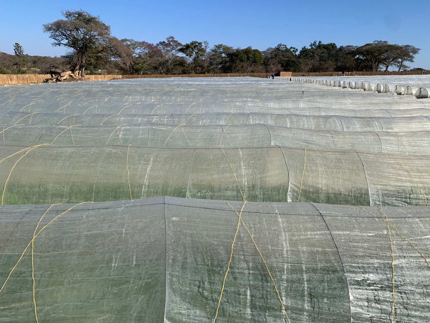 Seedbed Covers CLIMASEF