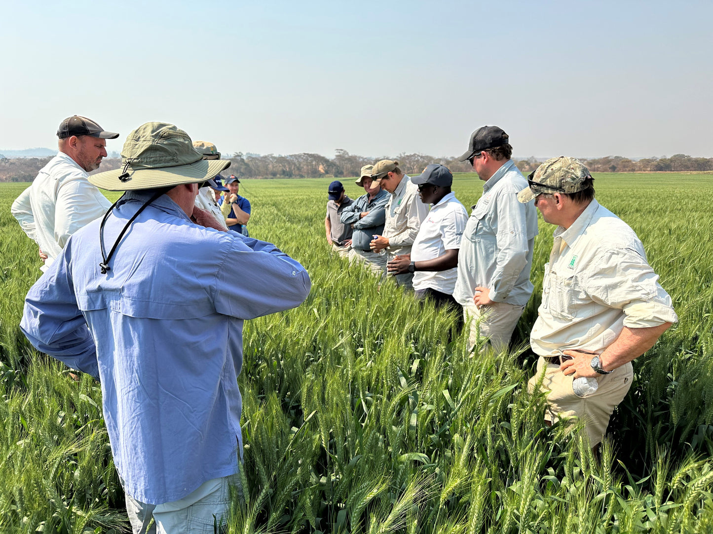 Agronomy Service