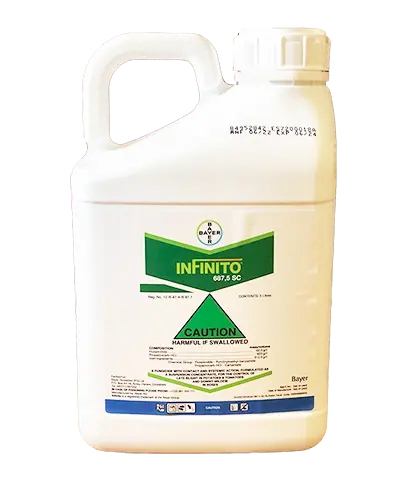 Infinito® 687.5 SC Bayer