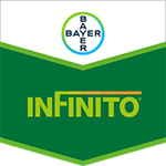 Infinito® 687.5 SC Bayer