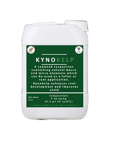 Kyno Kelp