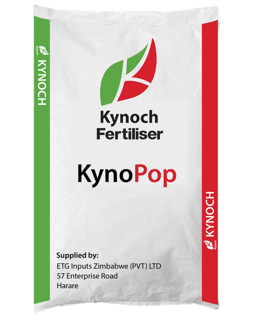 Kynopop