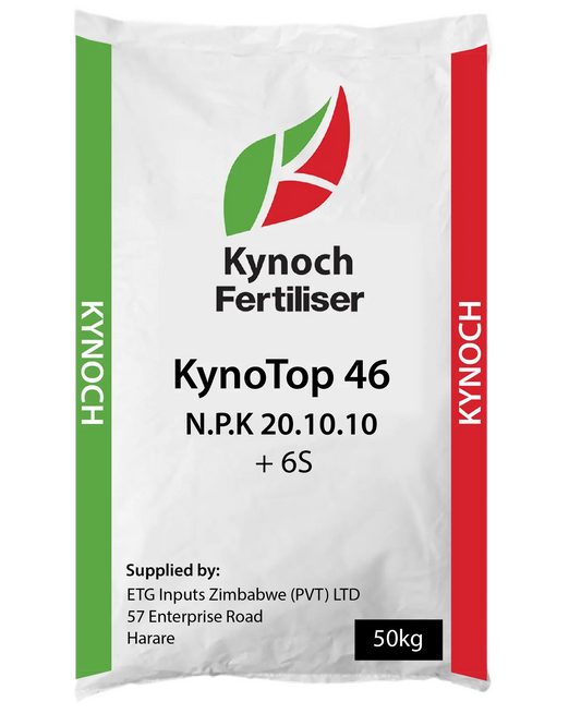 KynoTop KYNOCH