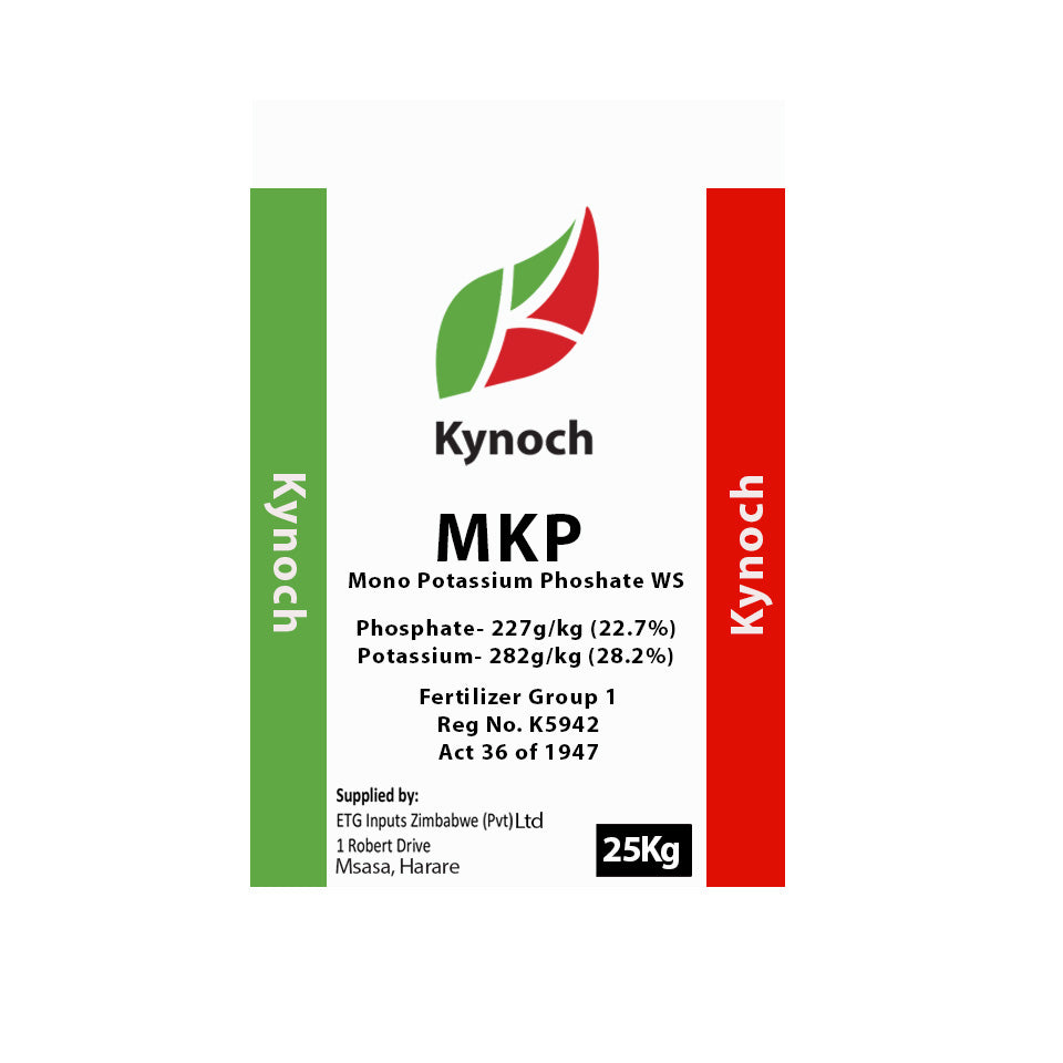 MKP KYNOCH