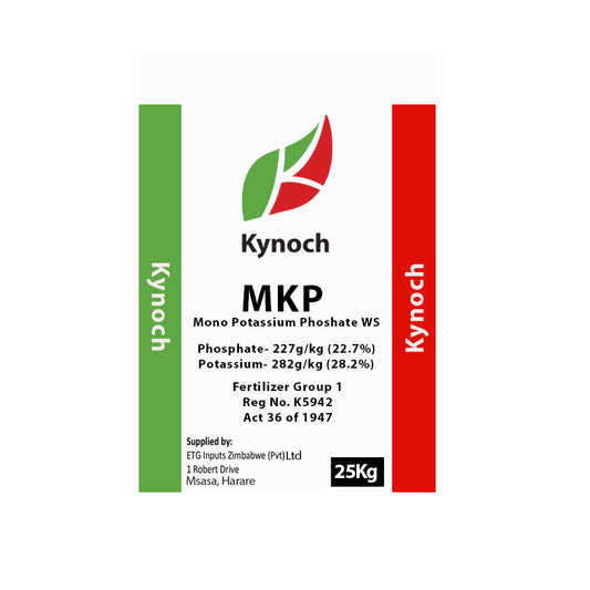 MKP KYNOCH