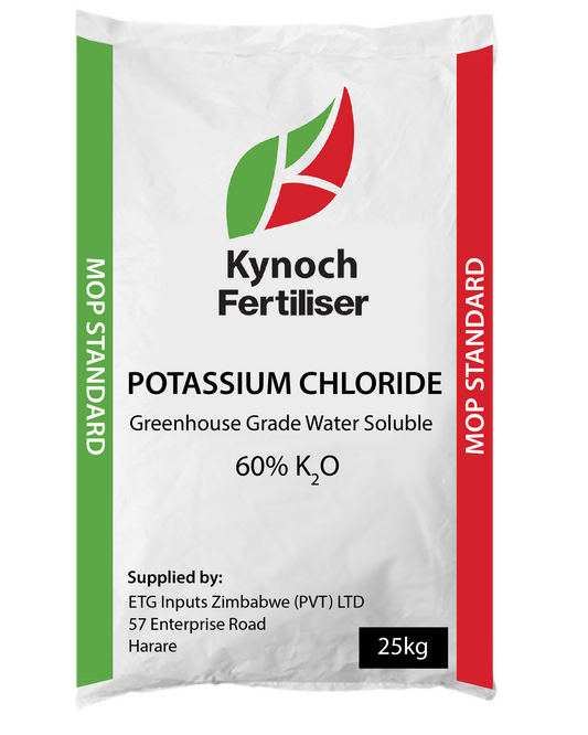 MOP Tech KYNOCH