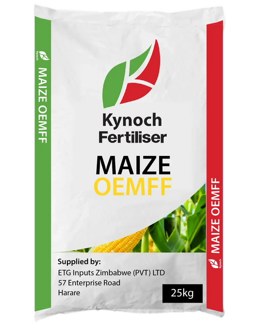 Maize Oemff