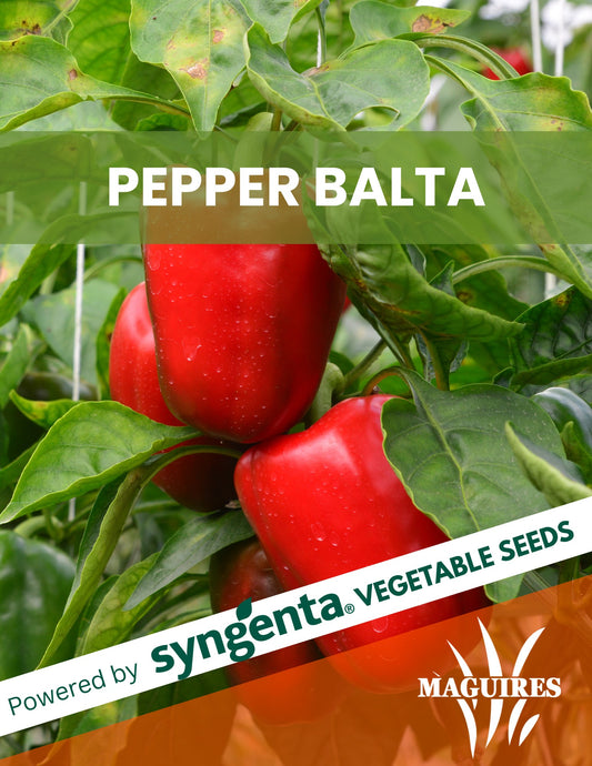 Sweet Pepper Balta
