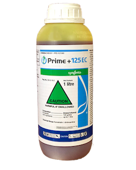 Prime +® 125 EC Syngenta