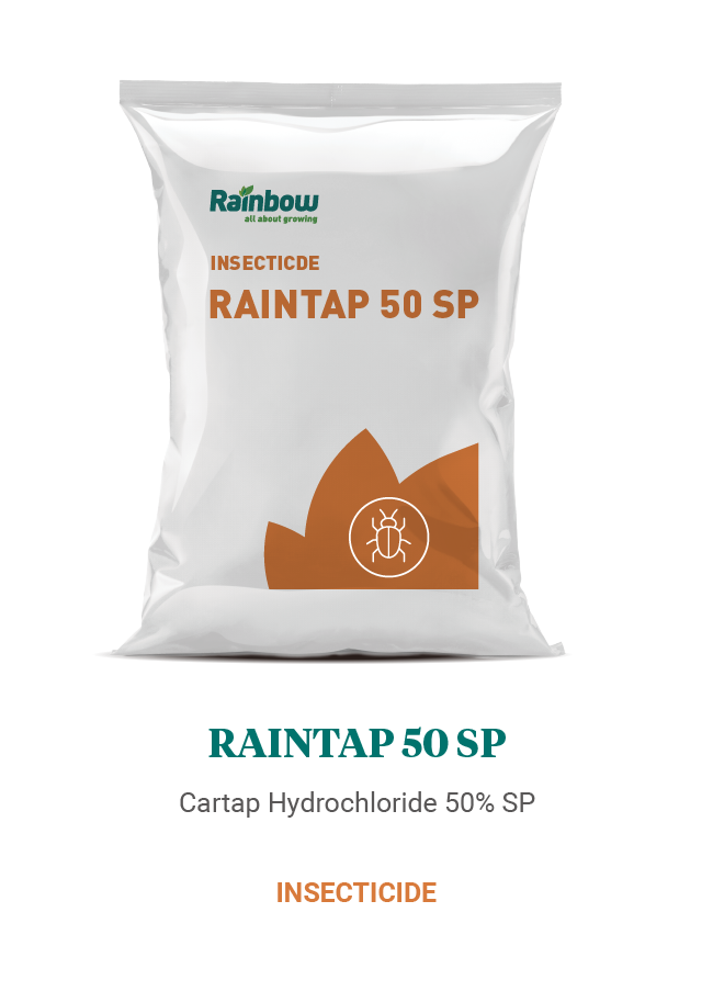 Raintap 50 SP Rainbow