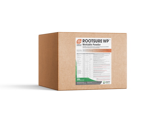 Rootsure WP DAMARA