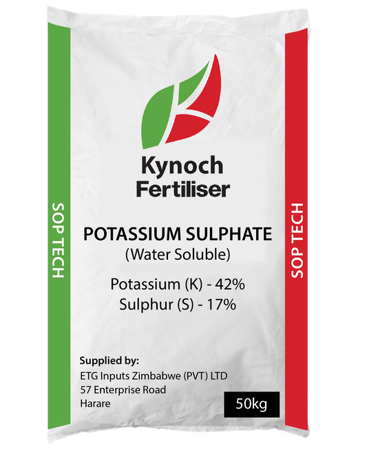 SOP TECH KYNOCH