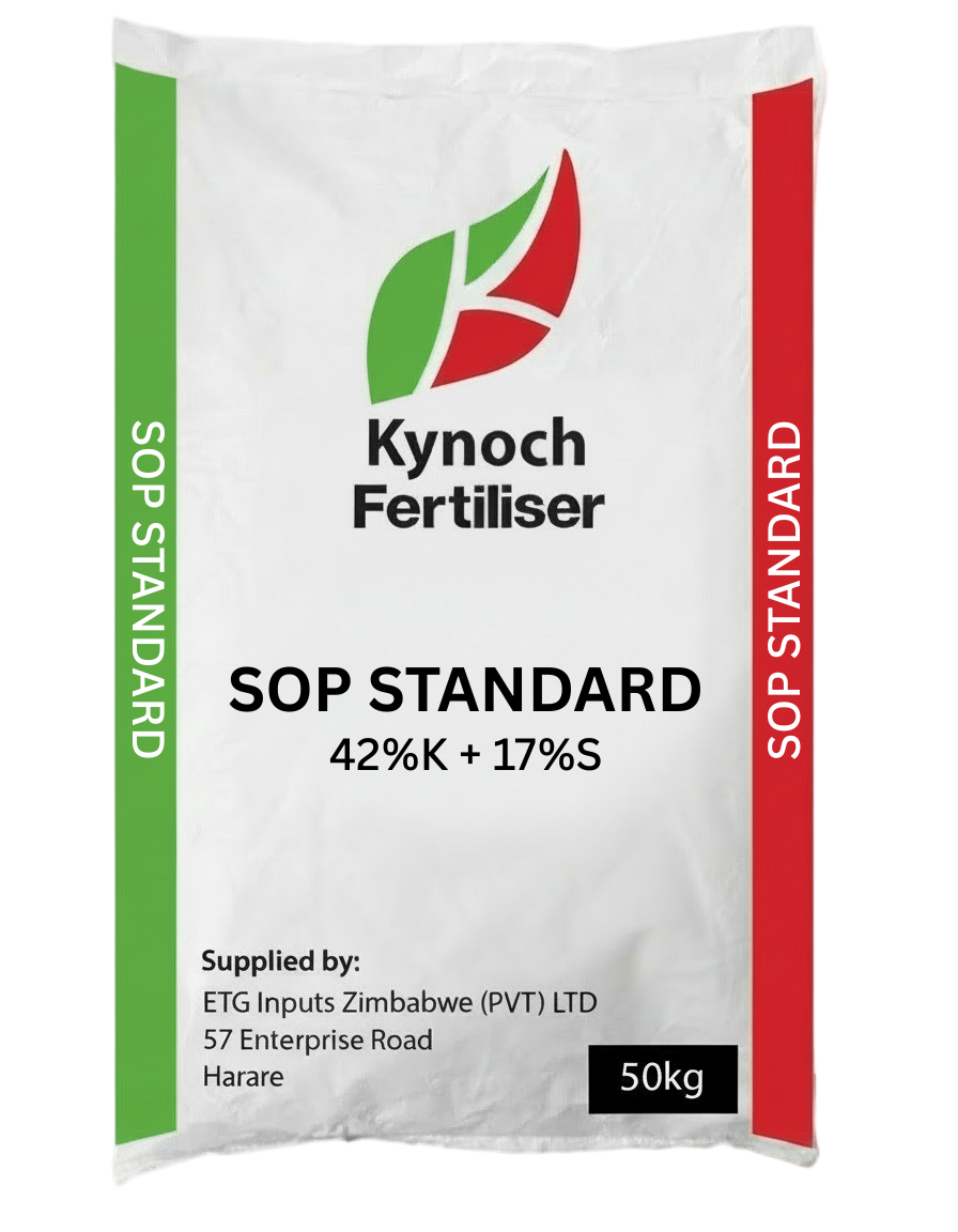 SOP Standard Kynoch