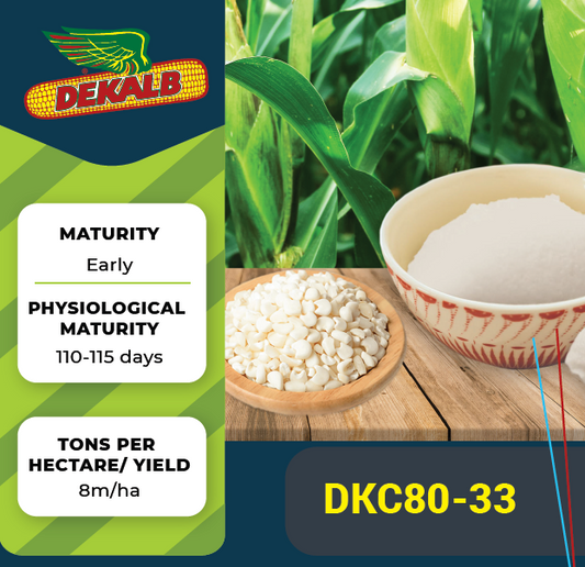 Dekalb© DKC80-53 Bayer