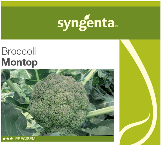 Broccoli Montop