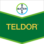 Teldor 500 SC™ Bayer