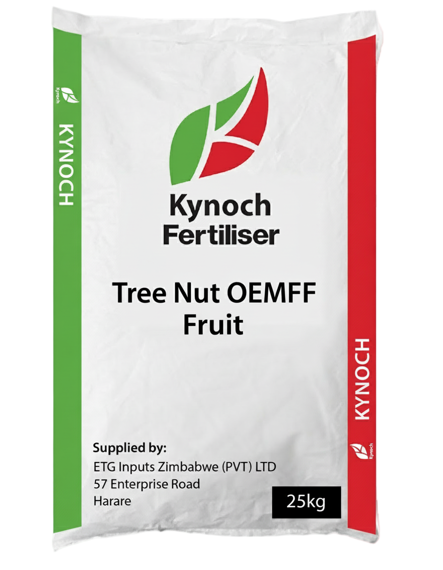 Tree Nut Oemff Fruit