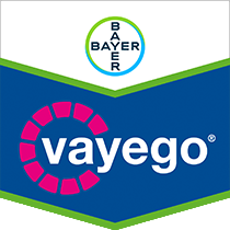 Vayego® 200 SC Bayer