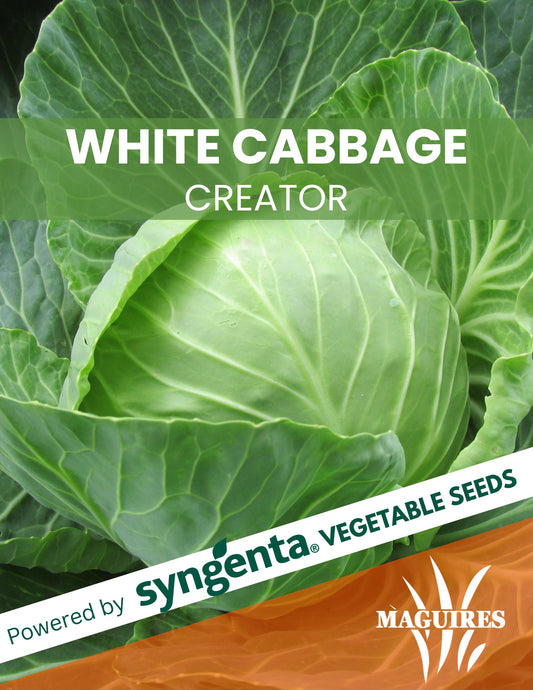 White Cabbage Creator