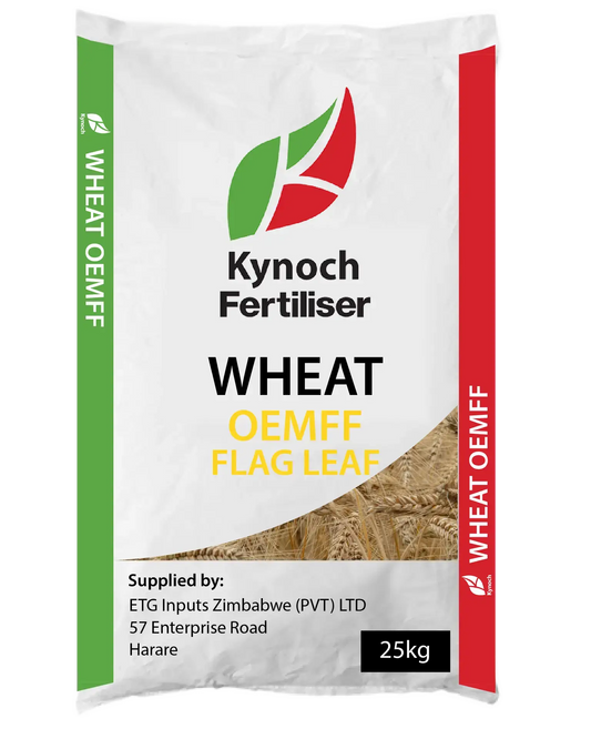 Wheat Oemff Flag Leaf