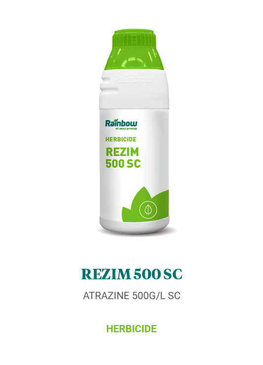Rezim 500 SC Rainbow