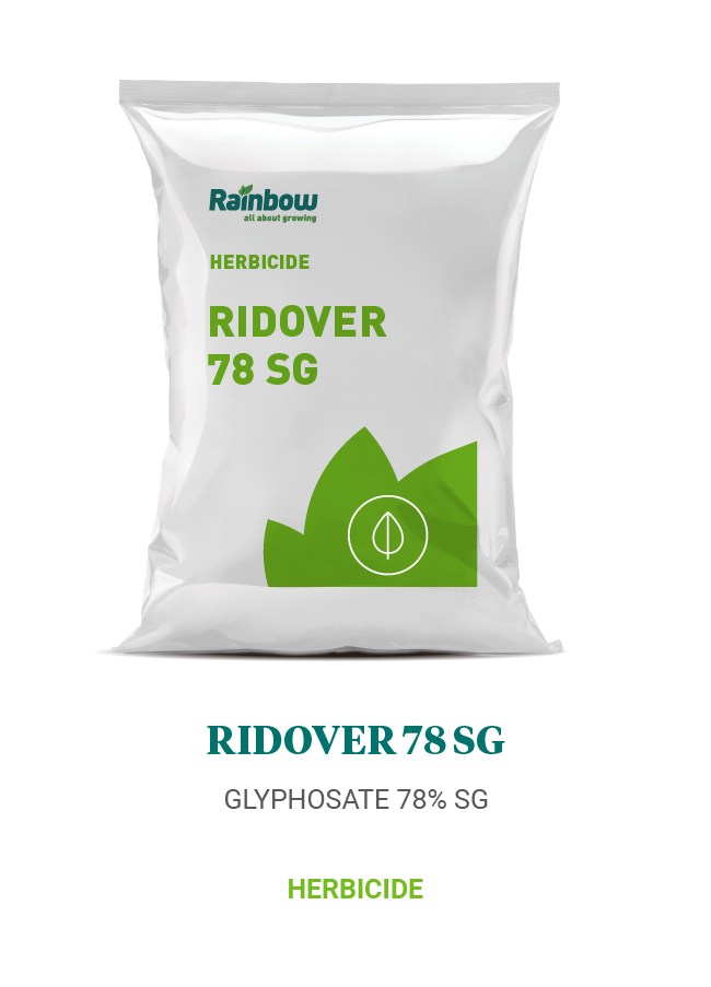 Ridover 78 SG Rainbow