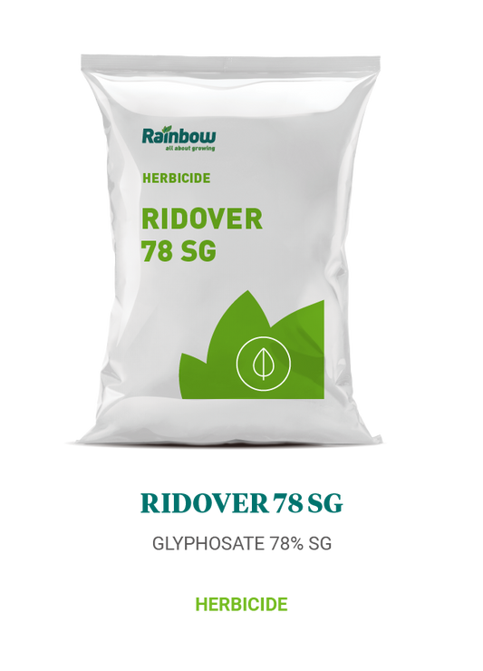 Ridover 78 SG Rainbow