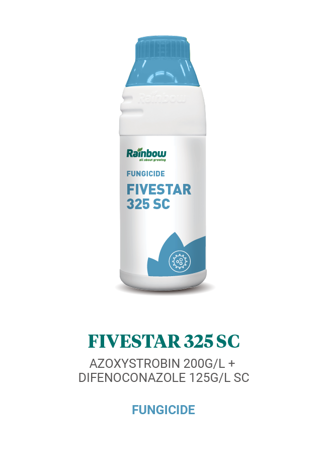 Fivestar 325 SC Rainbow