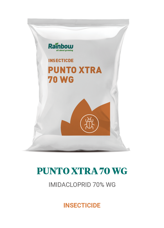 Punto Xtra 70 WG Rainbow