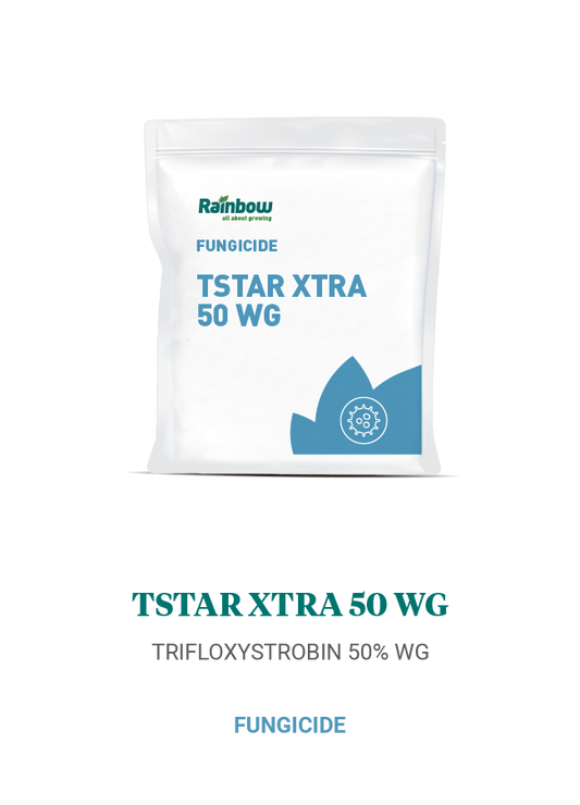 Tstar Xtra 50 WG Rainbow