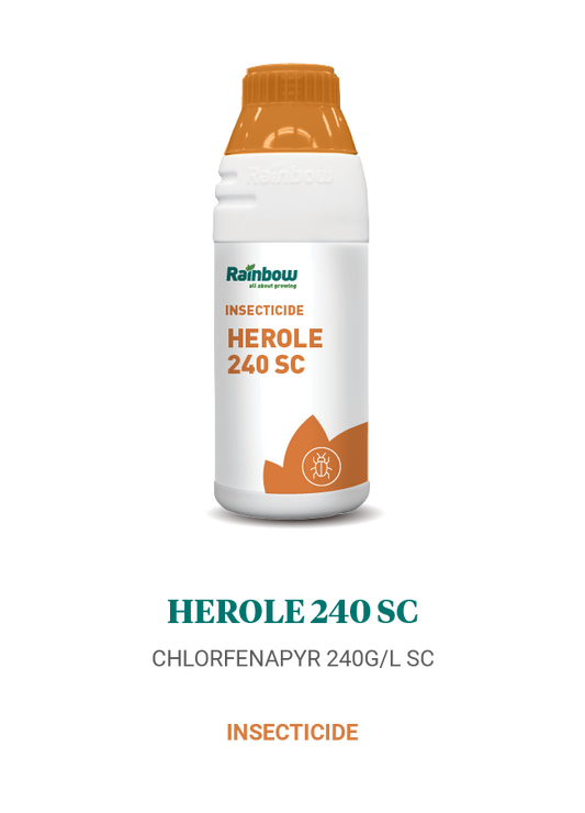 Herole 240 SC Rainbow
