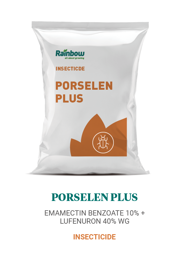 Poreselen Plus Rainbow