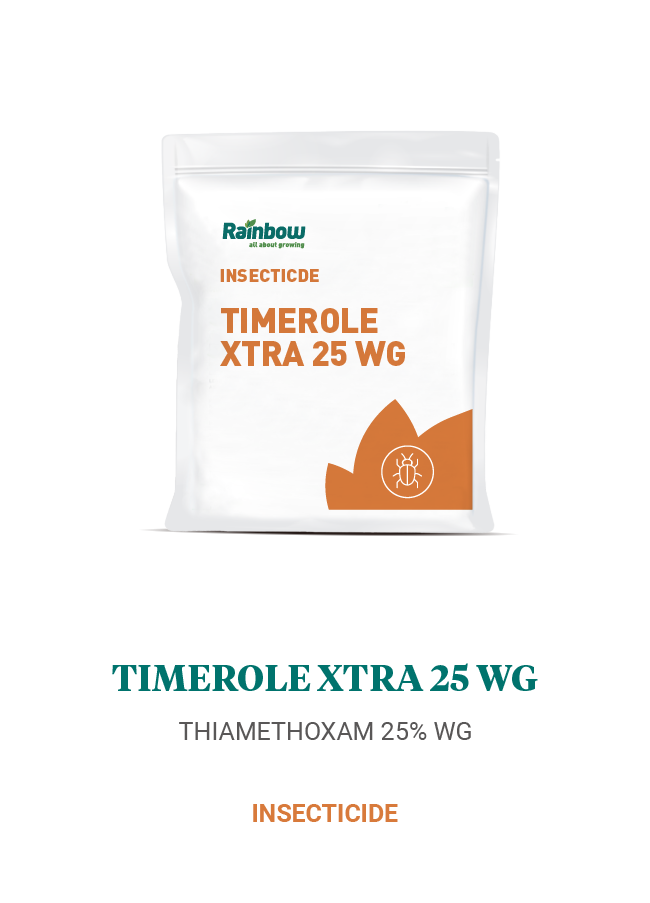 Timerole Xtra 25 WG Rainbow