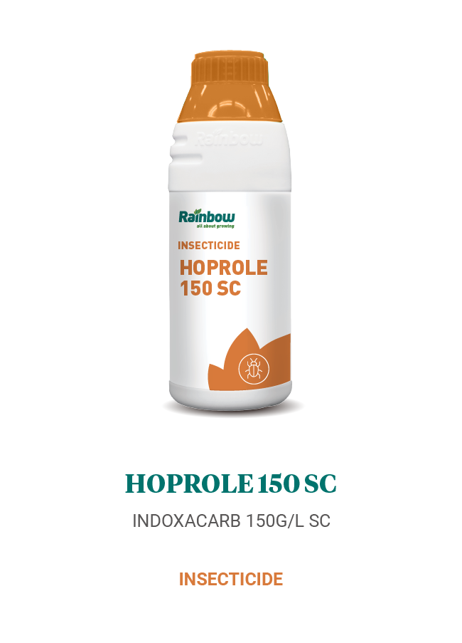 Hoprole 150 SC Rainbow