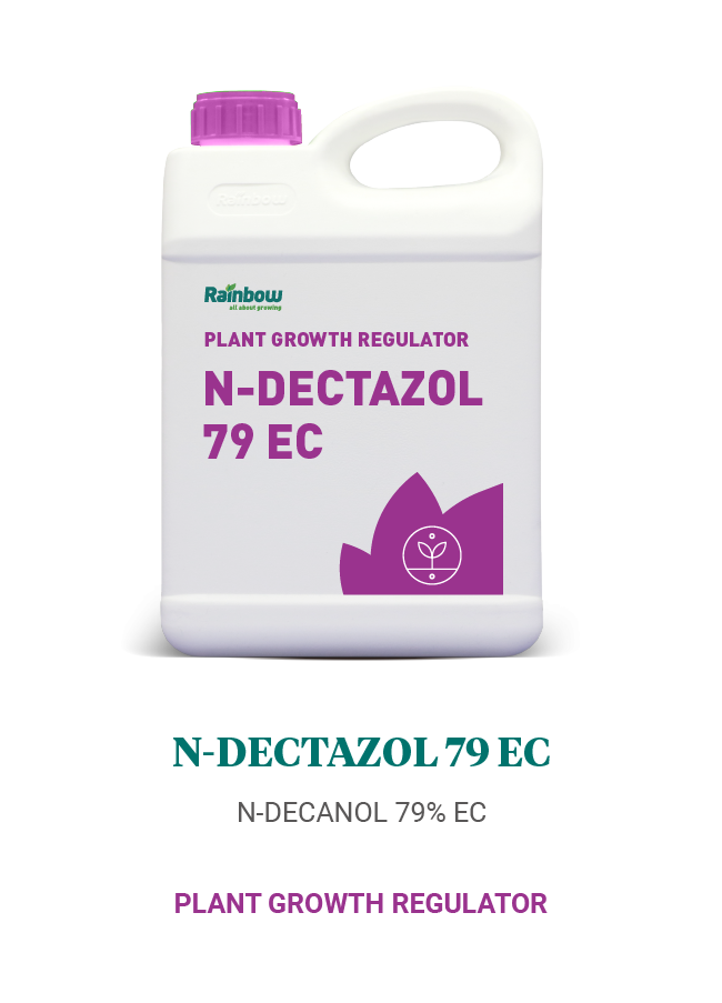 N-Dectazol 79 EC Rainbow