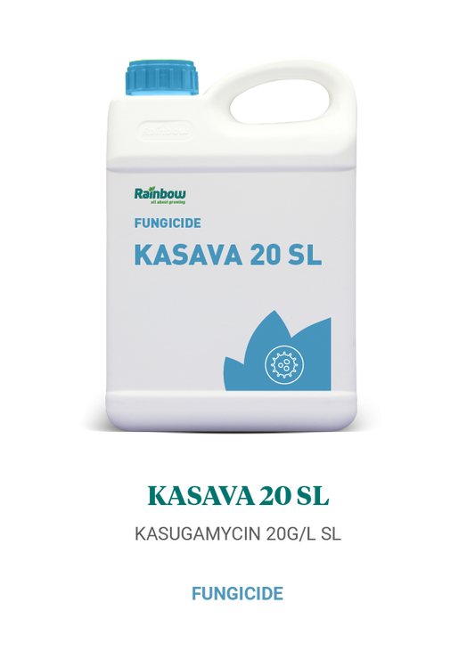 Kasava 20 SL Rainbow